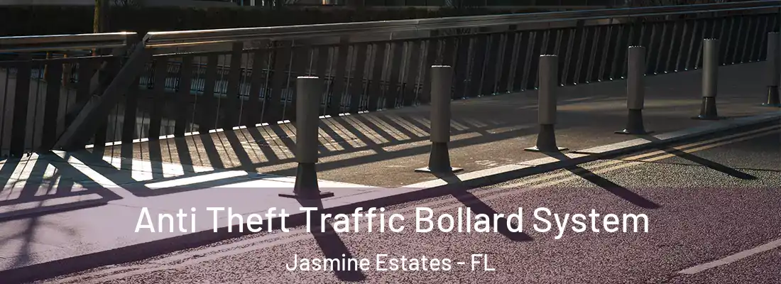  Anti Theft Traffic Bollard System Jasmine Estates - FL
