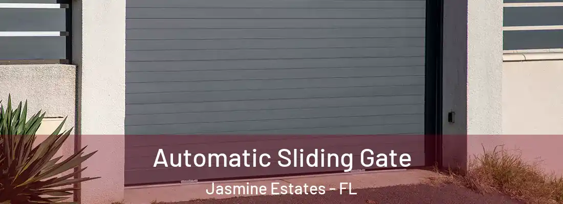  Automatic Sliding Gate Jasmine Estates - FL