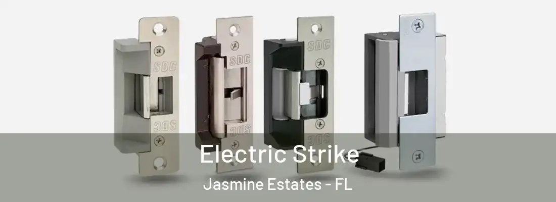  Electric Strike Jasmine Estates - FL