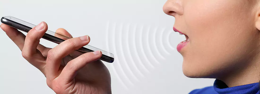 Residential and Commercial Voice Recognition Access Solutions in Jasmine Estates, FL